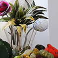 Gallery: thumbnails